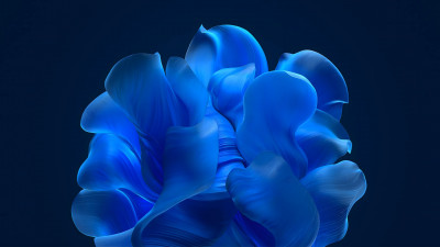 The blue petals