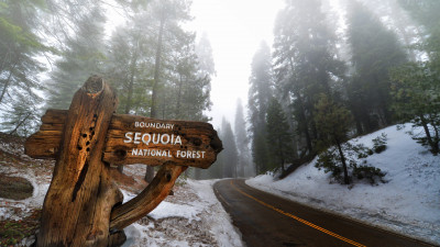 Sequoia National Park