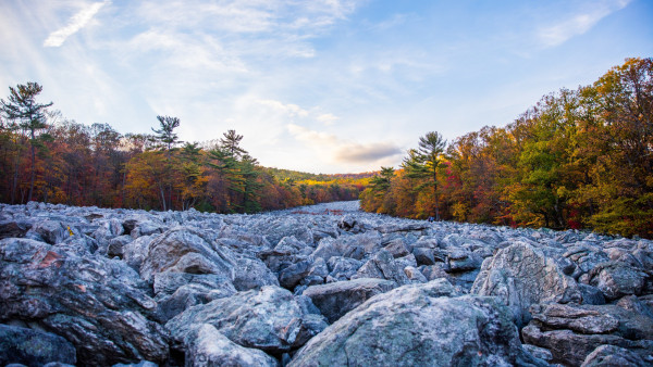 The beauty of Fall in Lenhartsville, USA
