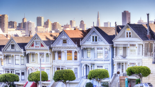 Painted Ladies