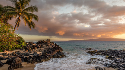 Kihei beach and palm trees