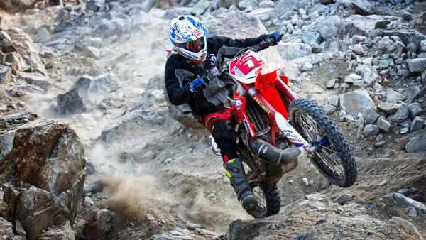 King of the motocross