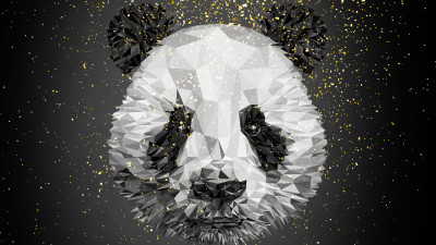 Panda bear illustration