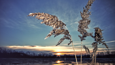 Water field, sunset, skyline