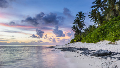 Exotic beach and ocean waves