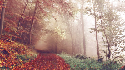 Best Autumn view from 2015