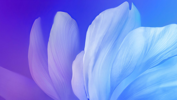 Digital petals