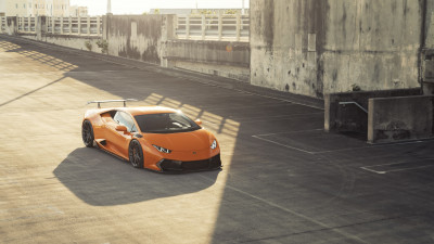 ANRKY Fish Orange Lambo Huracan