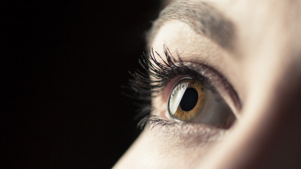 Eyebrows, eyelashes. pupil, eye