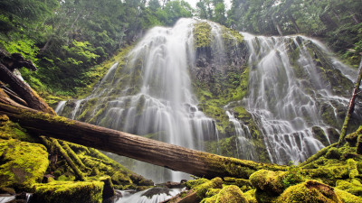 Proxy falls