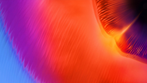 Warm colors in Samsung A8