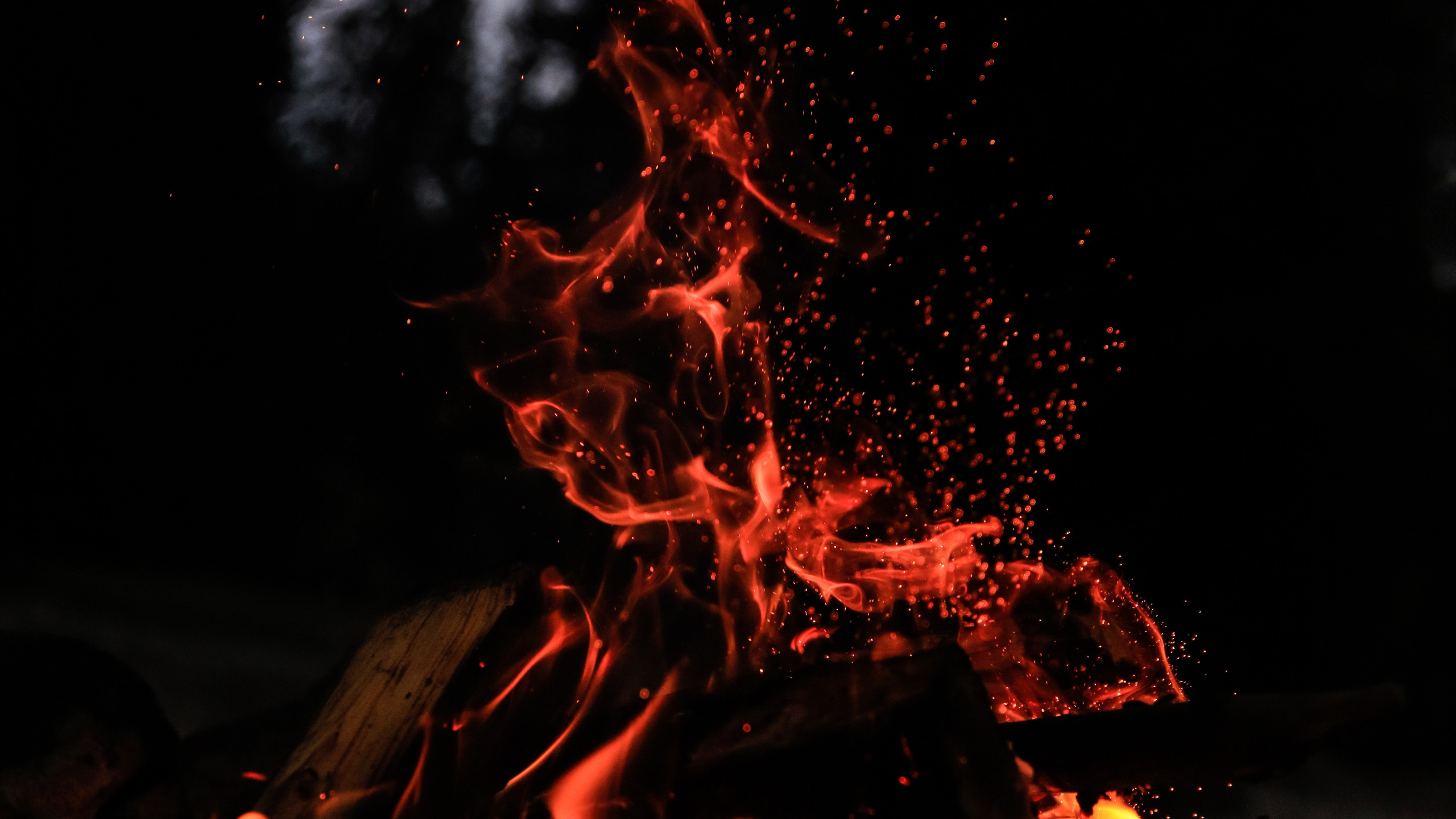 Fire in the cold night wallpaper 2560x1440
