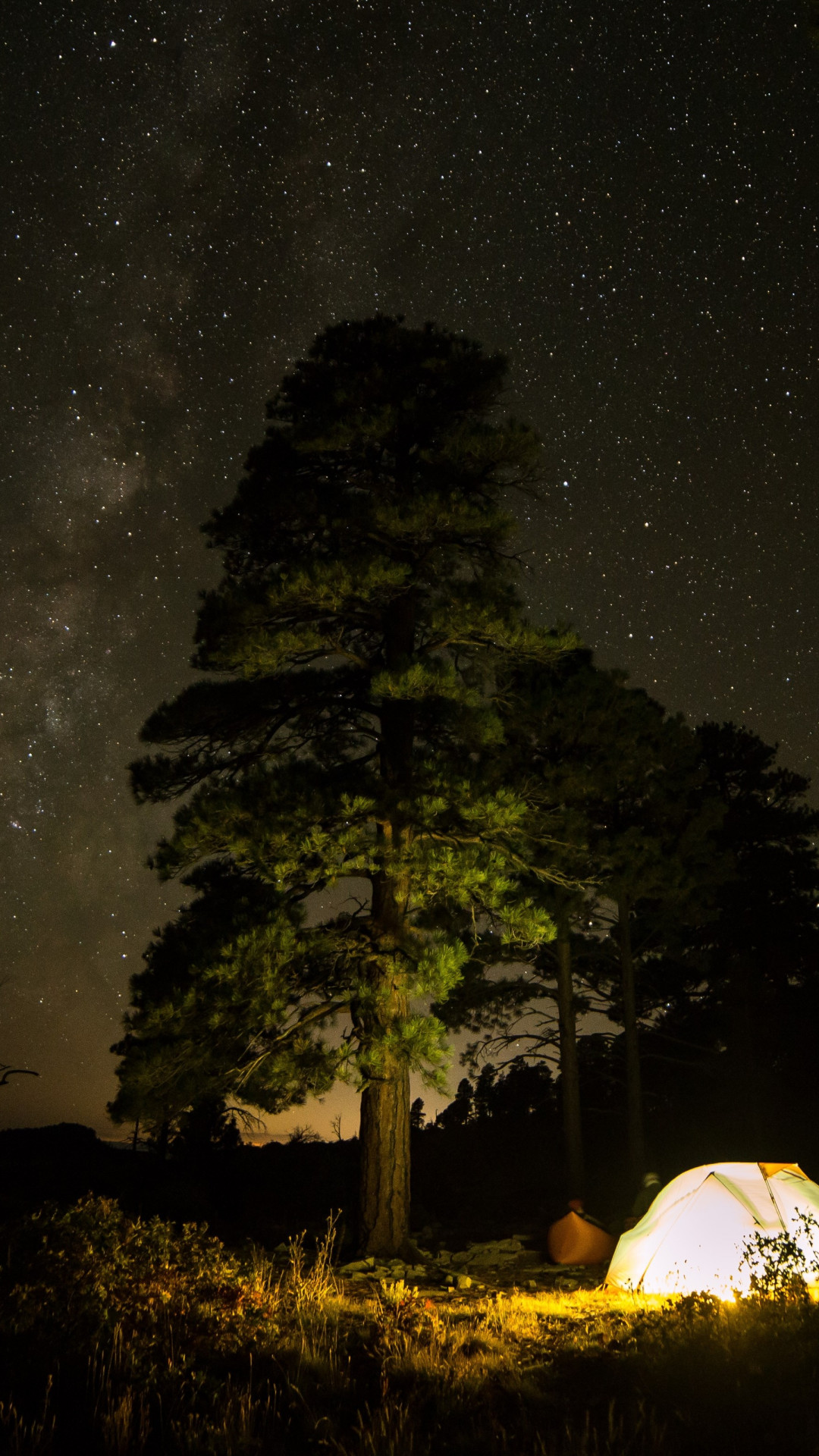 With tent under the night sky wallpaper 1080x1920