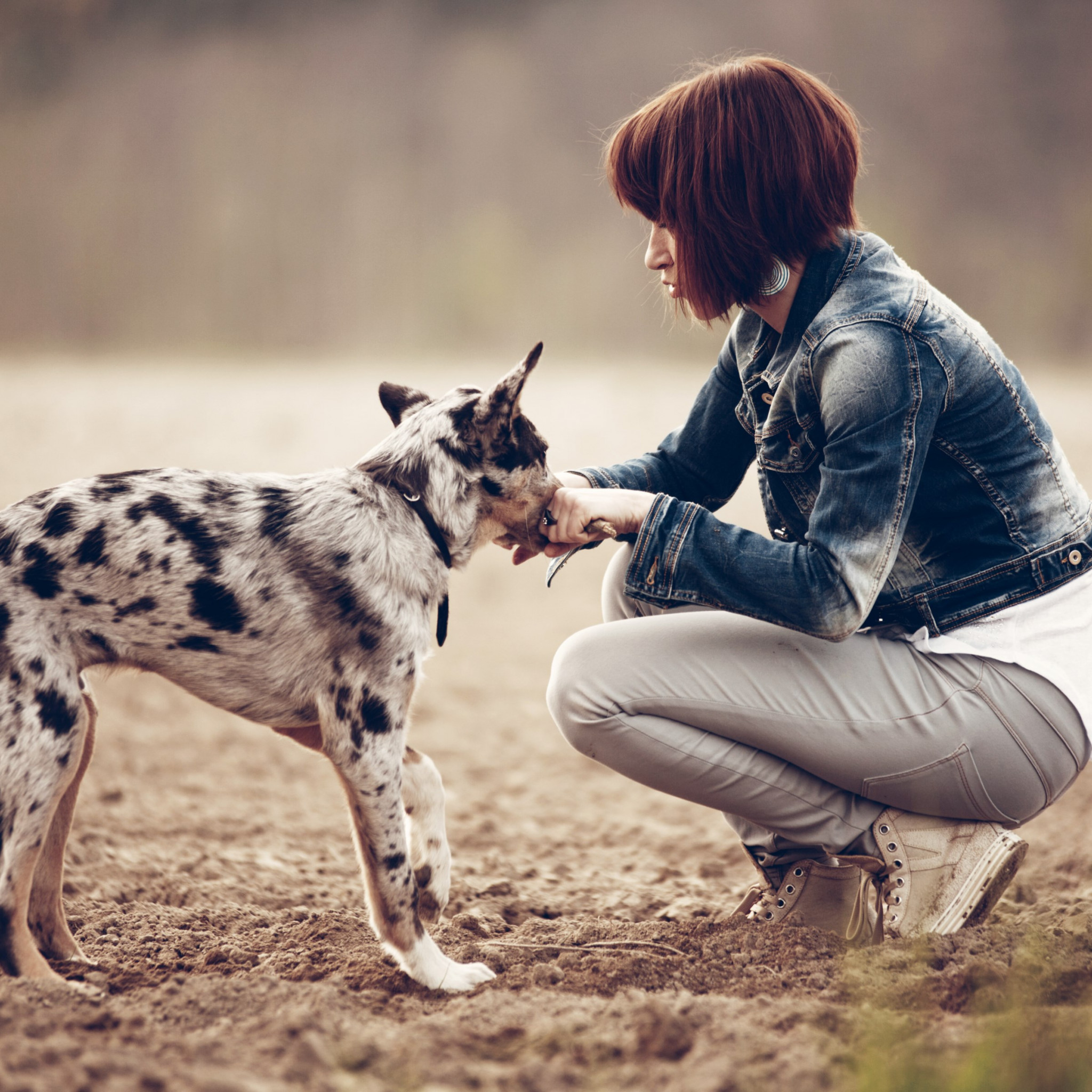 The girl and the puppy wallpaper 2048x2048