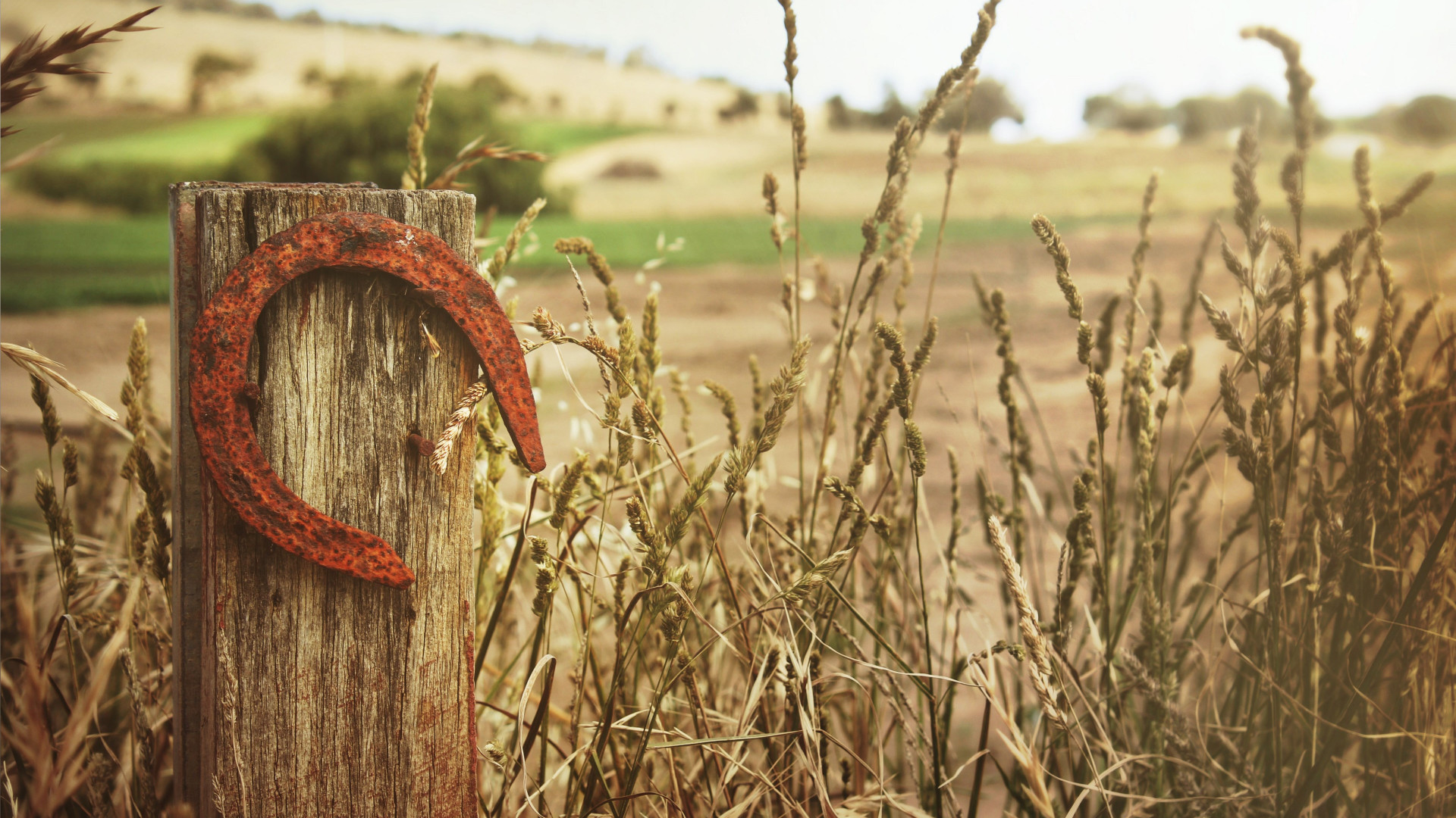 Horseshoe wallpaper 1280x720